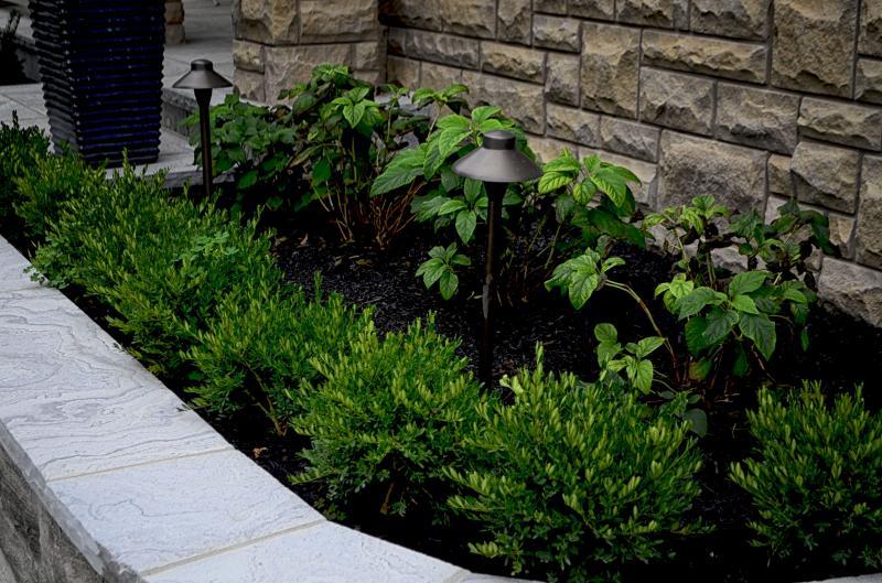 Oakridge Landscape Contractors Ltd - Landscape Ontario