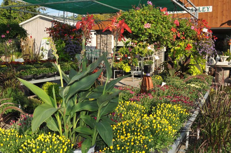 Baltimore Valley Garden Centre - Landscape Ontario