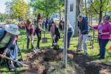 Sunnybrook Hospital in Toronto celebrated National Tree Day by planting trees throughout the property.