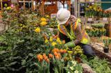 Like-minded professionals build LO’s Canada Blooms garden.