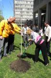 Minister of Natural Resources, Linda Jeffery, plants a red maple at the grounds of Queen’s Park, as Peter and Tim van Stralen of Sunshine Grounds, Geoff Cape of Evergreen and Art Vanden Enden add their encouragement.