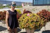 Davis Anders casts a vote for his favourite new plant at the University of Guelph’s Trial Garden site at Landscape Ontario in Milton, Ont.