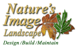 Nature's Image logo