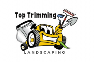 Top Trimming Landscaping & Maintenance logo