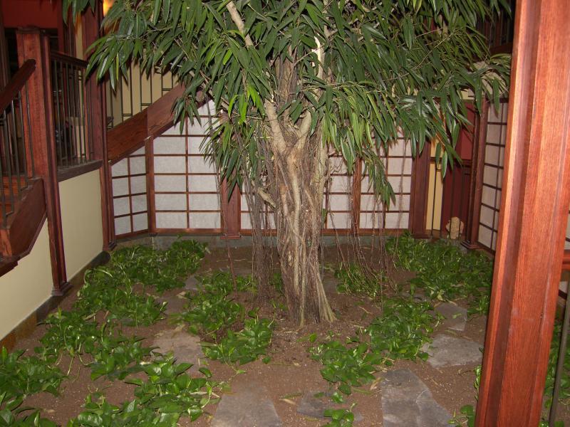 2006 - Interior Plantscaping Maintenance