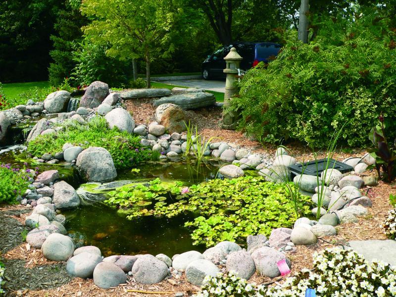 2007 - Permanent Display Gardens - Under 500 square feet - Water Garden 1