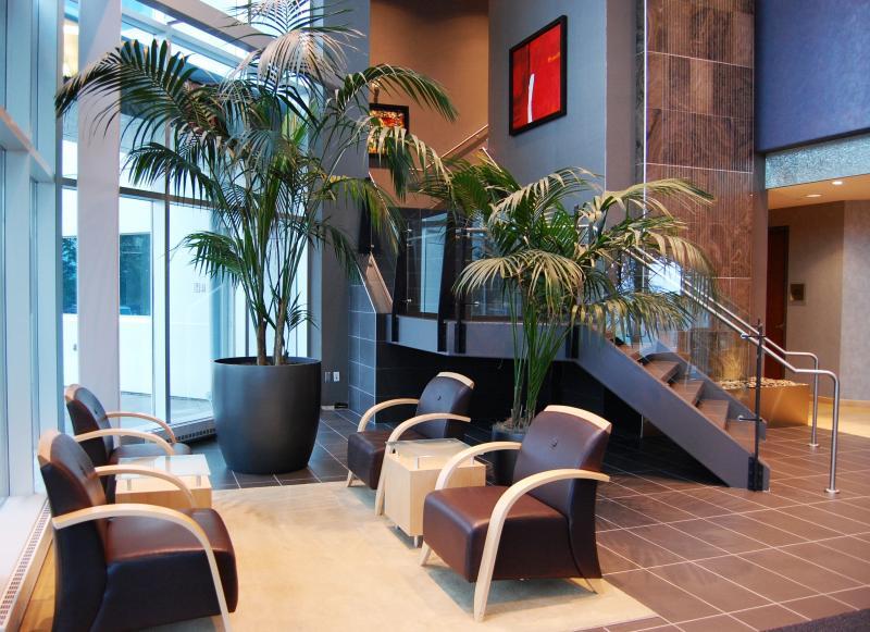 2008 - Interior Plantscaping Maintenance - Reception seating area