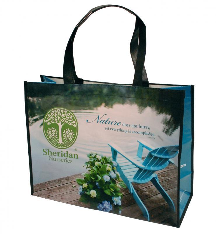 2011 - Merchandising Techniques - Outstanding Print Advertising  - Summer Bag
