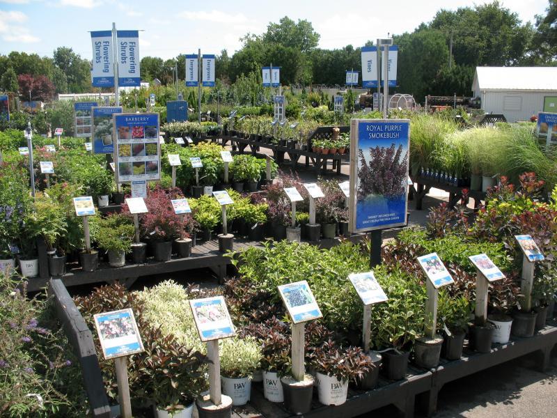 2011 - Outstanding Display of Plant Material - Deciduous Shrubs and/or Trees - Overview Deciduous Shrubs
