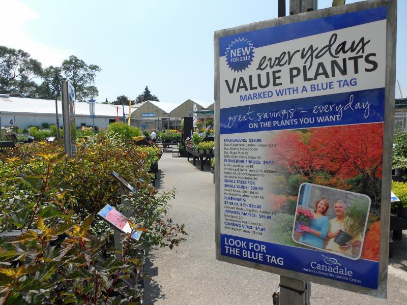2012 - Outstanding Display of Plant Material - Your Specialty - Everyday Value Entry Poster Overview
