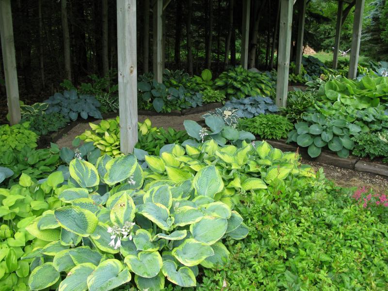 2012 - Outstanding Display of Plant Material - Your Specialty
