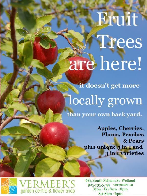 2013 - Merchandising Techniques - Outstanding Print Advertising  - Fruit Tree Ad