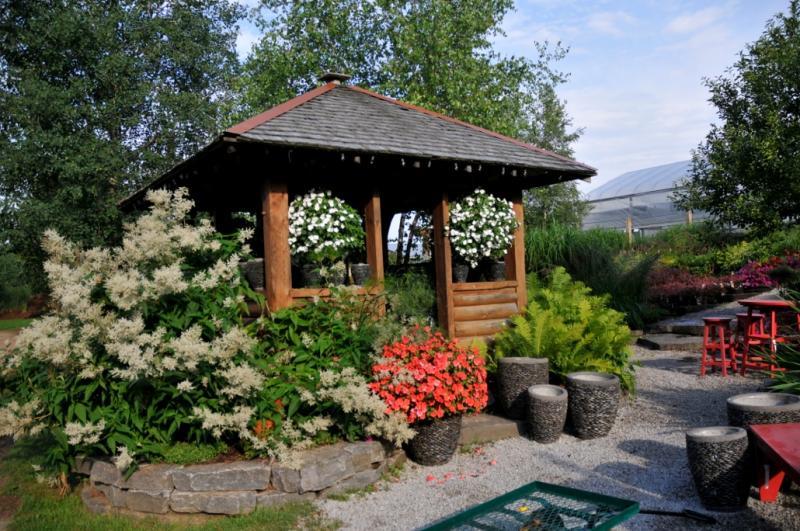 2014 - Permanent Display Gardens - Under 500 square feet - Other side of gazebo, huge Giant fleece flower comes up every summer.