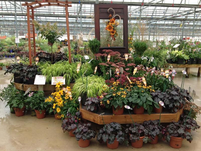 2014 - Outstanding Display of Plant Material - Annuals and/or Perennials