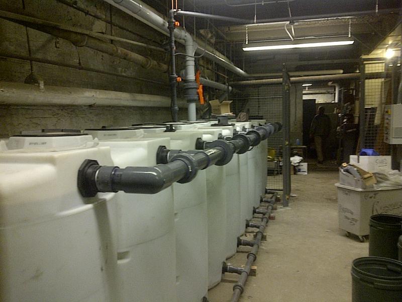 2014 - Water Conservation Award, Non-Potable Water - Look at the tanks in South Borden