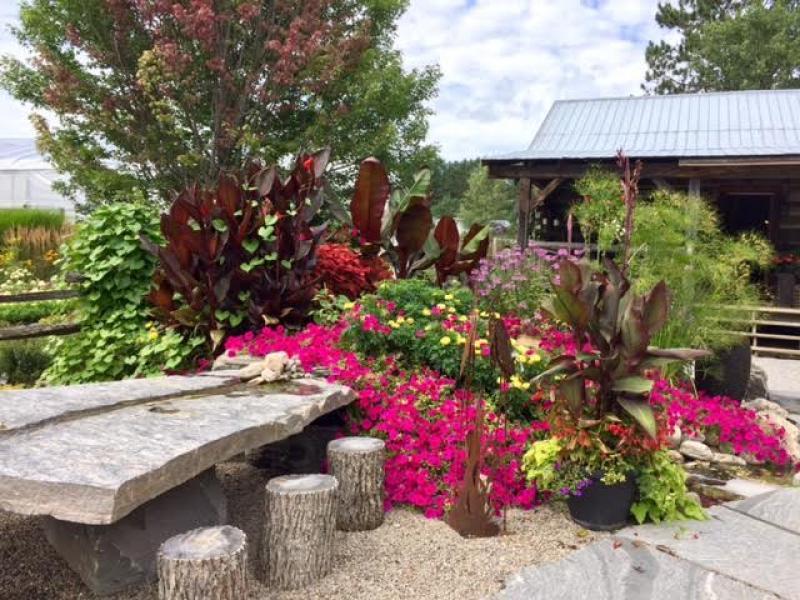 2016 - Permanent Display Gardens - Over 500 square feet