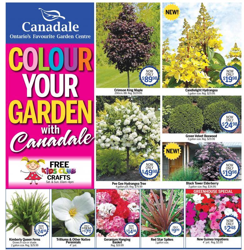 2016 - Merchandising Techniques - Outstanding Print Advertising  - Colour Your Garden Flyer