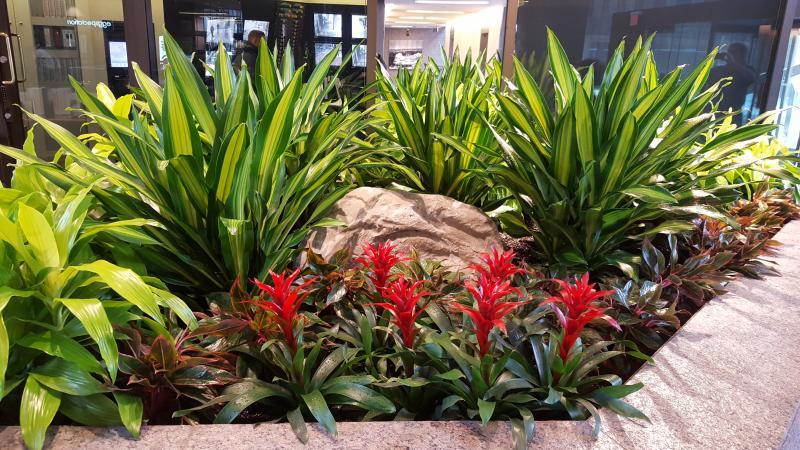 2017 - Interior Plantscaping Design and Installation   - Vibrant colours brighten up the lobby
