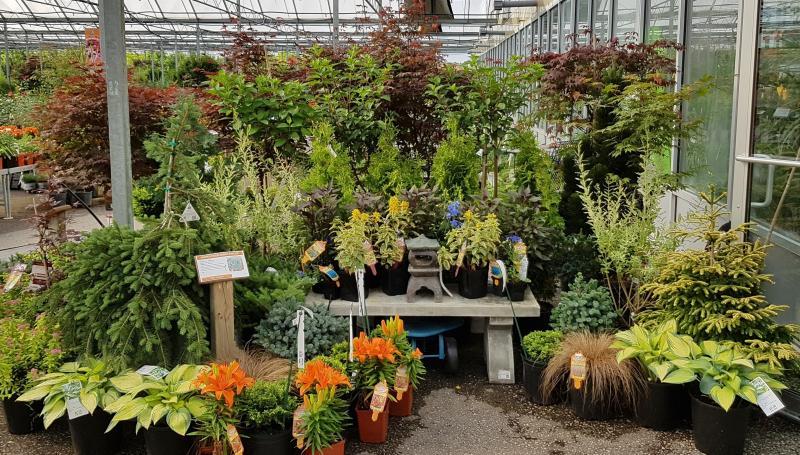 2018 - Outstanding Display of Plant Material - Deciduous Shrubs and/or Trees - Texture all around