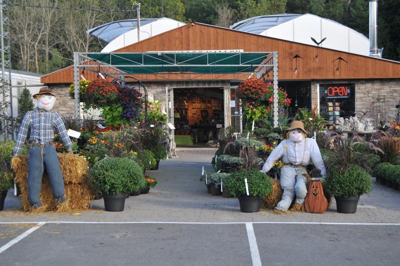 2018 - Outstanding Display of Goods - Seasonal - Welcome To Our Garden Centre!