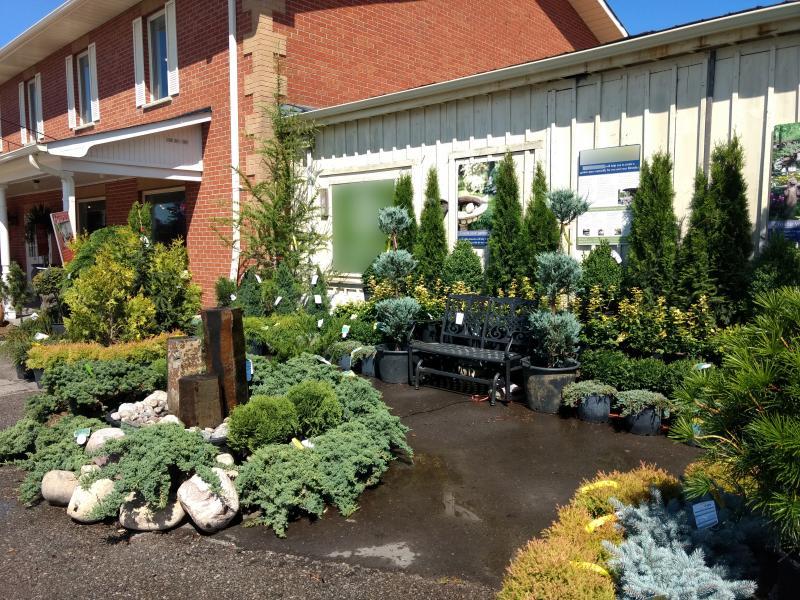 2018 - Outstanding Display of Plant Material - Evergreens and/or Broadleaf Evergreens