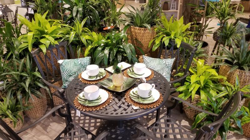 2019 - Outstanding Display of Goods - Seasonal - Beka Patio Set with Table Setting and Tropical Greenery
