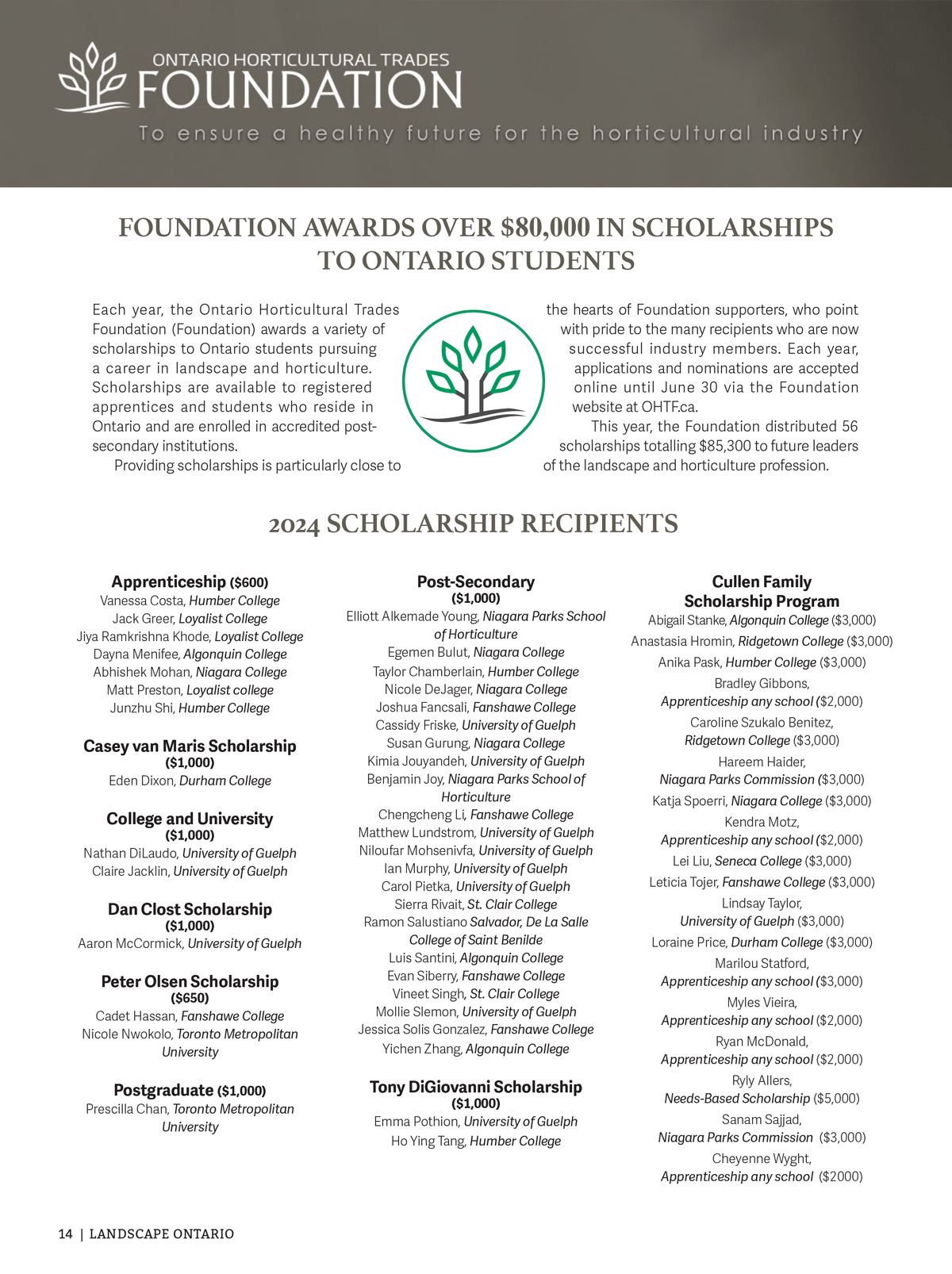 2024 foundation report