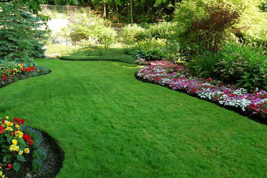 lawn and turf benefits tout