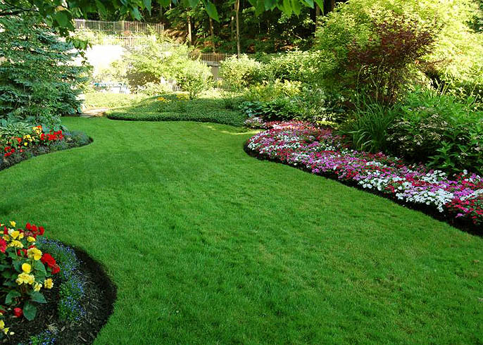 lawn and turf benefits tout