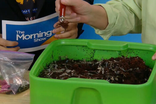 the benefits of indoor composting