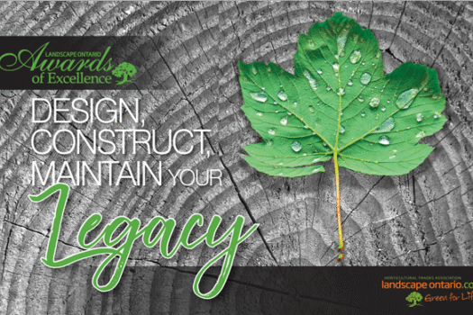 Awards of Excellence Ceremony 2019