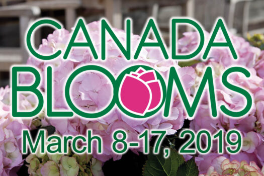 canada blooms profile tout 2019