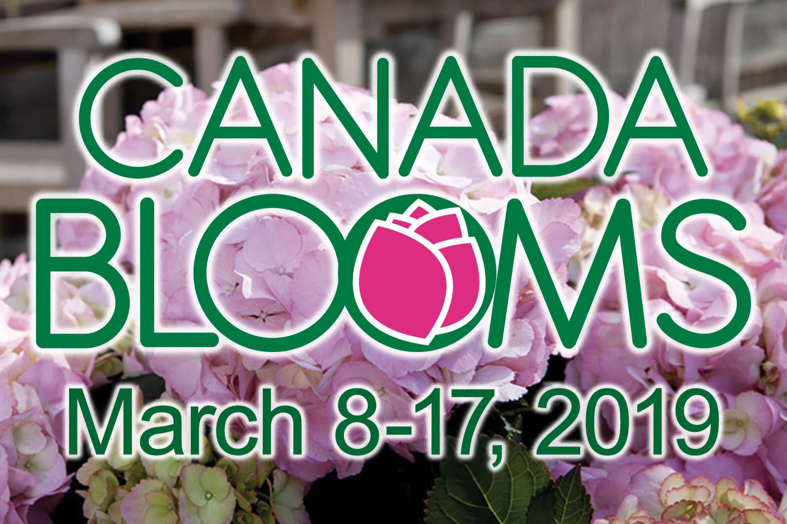 canada blooms profile tout 2019