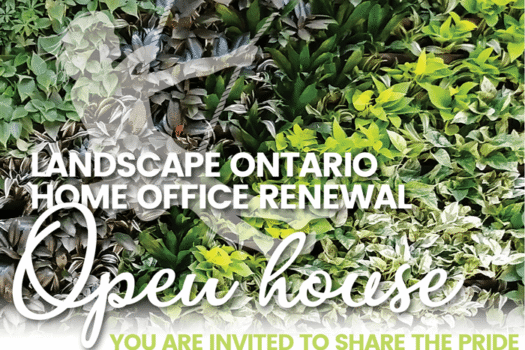 LO open house promo header3