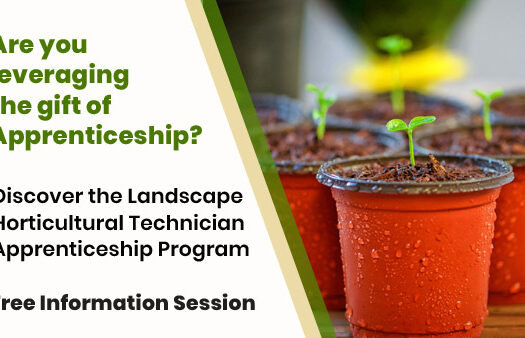 apprenticeship info session