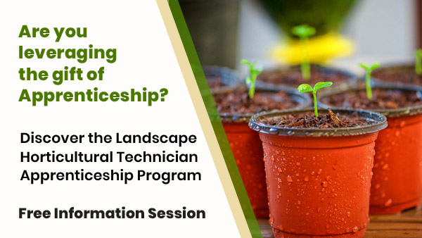 apprenticeship info session