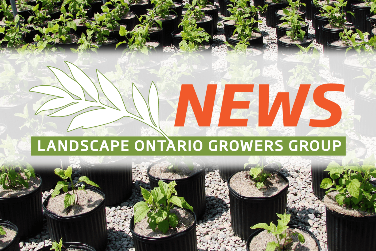 growers group news-profile