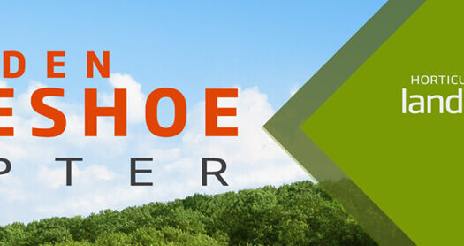 GH Chapter Header 2020-1200px