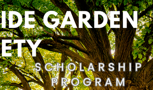 LGS scholarship header-web.png