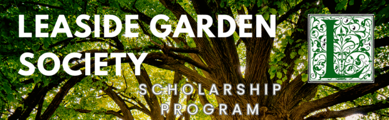 LGS scholarship header-web.png