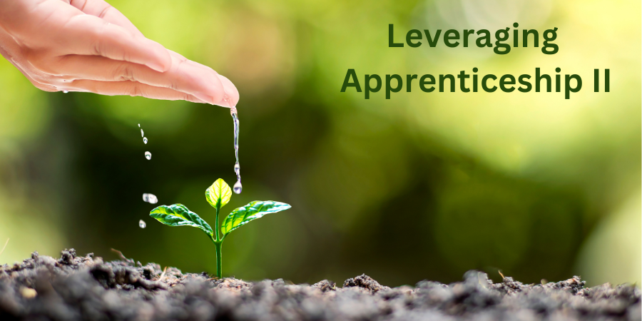 Leveraging_ApprenticeshipII_Banner.png