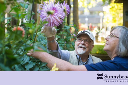 Sunnybrook email header-850px.jpg