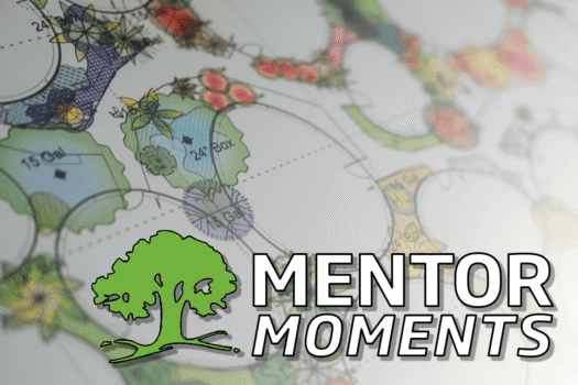 Mentor Moments header 1200px