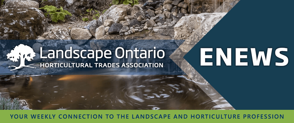 LO Enews Header Summer 2025