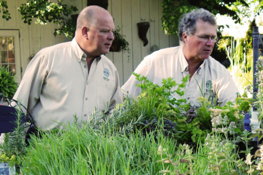 1590324325.karl_at_work-web