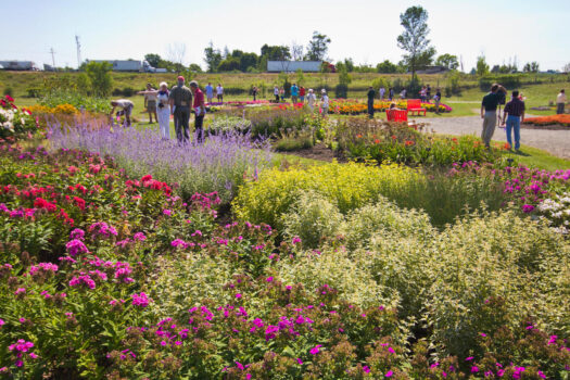 1590543806.trial_gardens_2011-web