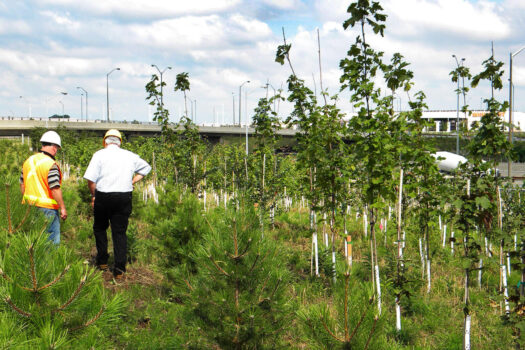 1590544410.highway_planting_wide-web
