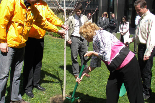 1592784973.Queens_Park_Earth_Day_Tree_Planting_2010-web