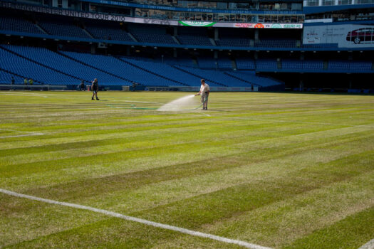 1593045503.rogers_centre_turf_greenhorizons-web