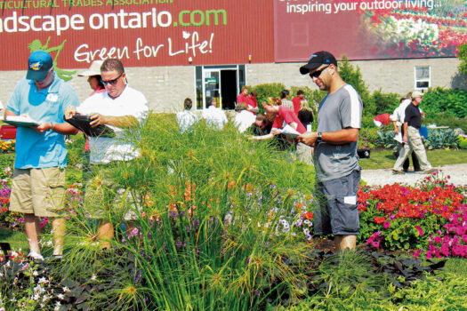 1593262069.Trial_Gardens_2010_050-wide-web